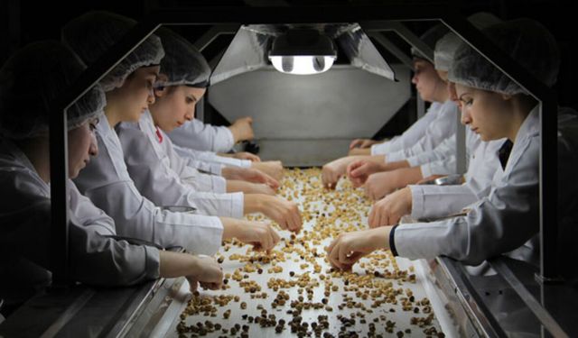 Ferrero hakkında karar