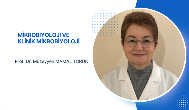 "Antibiyotik direnci, salmonella enfeksiyonlarını daha tehlikeli hale getiriyor"