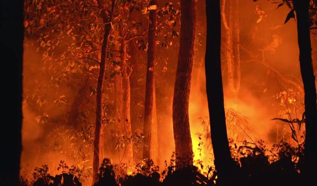 Trabzon Büyükşehir Belediyesi’nden Yangın Uyarısı: "Ateş Yakmayın, 112’yi Arayın"