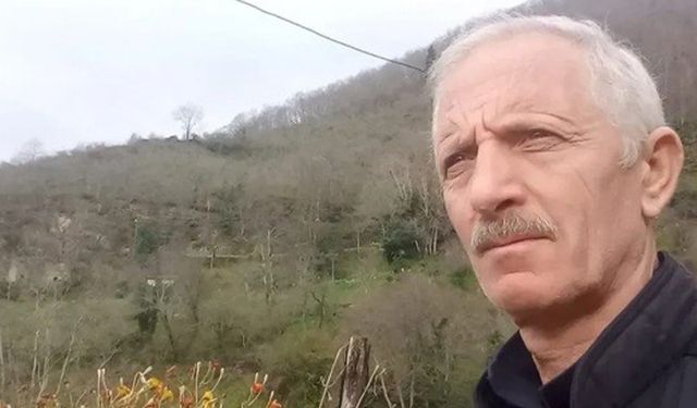 Armut ağacından düşen adam öldü