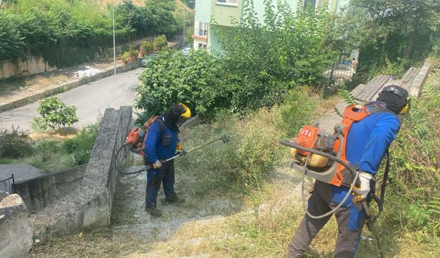 Ortahisar Belediyesi'nden yoğun yaz mesaisi