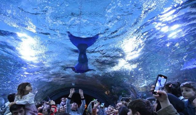 Trabzon Akvaryum’da denizkızı gösterisi yapılacak