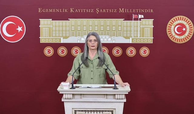 Sibel Suiçmez'den gözaltı kararına tepki