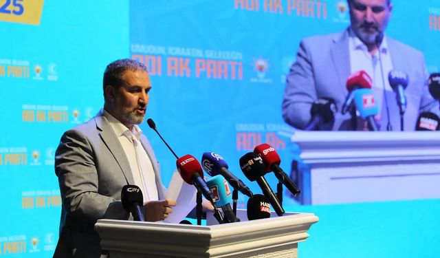 Mustafa Şen: “Barışa şans verildi, silahlar gömüldü”