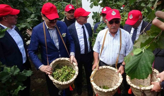 Fındıkta hedef 5 milyar dolar ihracat geliri