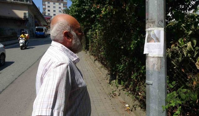 Kayıp papağanı ’Duman’ için yollara düştü