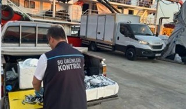 Trabzon’da usulsüz hamsi çıkışına ceza