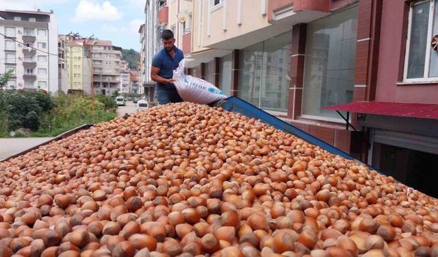 Fındık ihracatında çıta yükseliyor