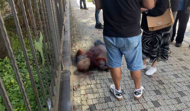 Giresun’da daire satışı kavgasında sokak ortasında bıçaklanan inşaat firması sahibi tedavi gördüğü hastanede öldü