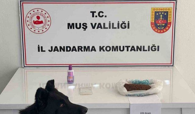 Muş’ta uyuşturucu operasyonu: 2 gözaltı
