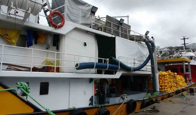 Niyet hamsi,kısmet insansız deniz aracı