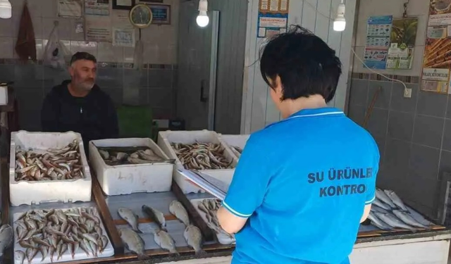 Balık av sezonunun başlaması ile birlikte su ürünleri denetimleri sıklaştırıldı