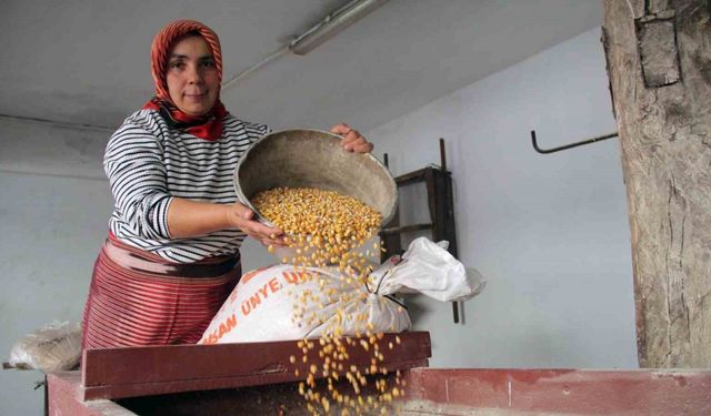 Karadeniz köylerinde zamana direnen çarklar