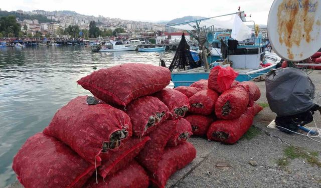 Palamut gibi onun da avı balıkçıları hüsrana uğrattı