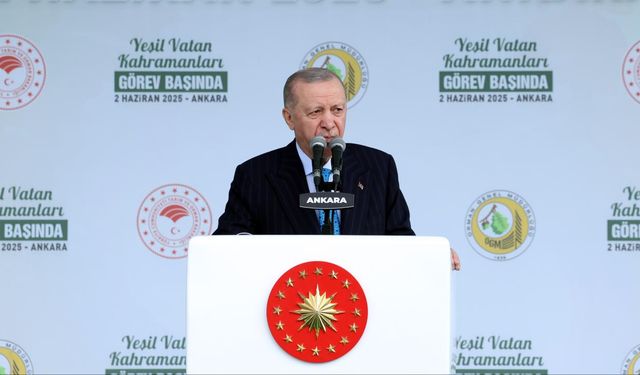 Cumhurbaşkanı Erdoğan’dan 11 Kasım Milli Ağaçlandırma Günü mesajı