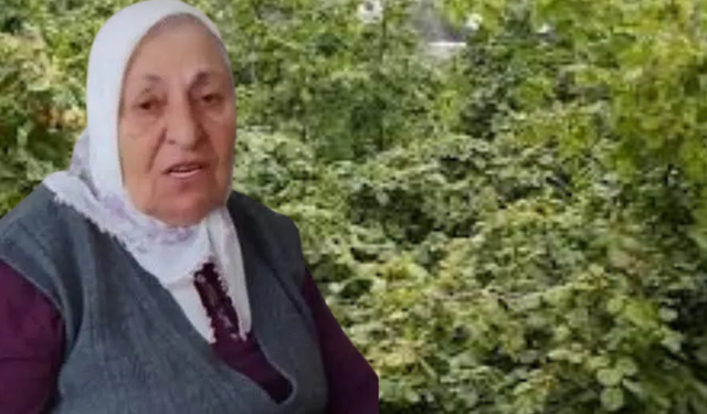 Trabzon’da kaybolan yaşlı kadın fındık bahçesinde ölü bulundu