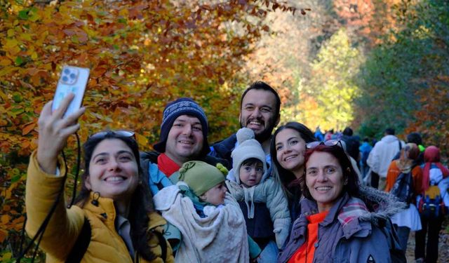 "Doğal Ağaç Müzesi" ziyaretçi akınına uğruyor