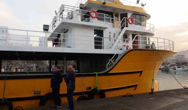 Karadeniz’den bu sezon adeta hamsi fışkırıyor