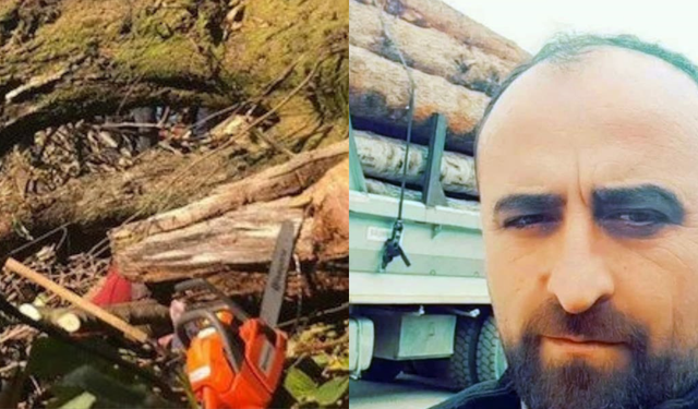 Üzerine ağaç devrilen şahıs hayatını kaybetti