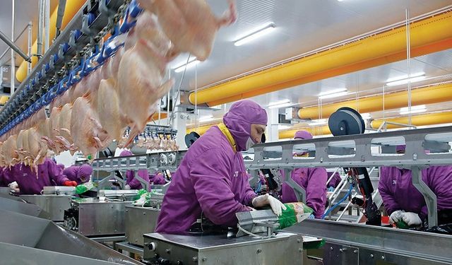 Tavuk eti üretimi Ekim ayında yüzde 8,1 oranında arttı