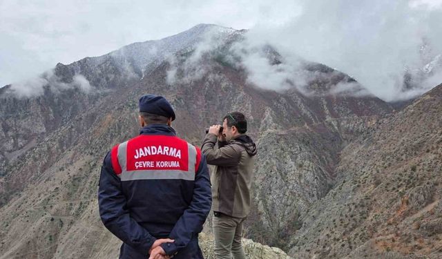 Artvin’de kaçak ve usulsüz avcılığa yönelik denetimler sürüyor