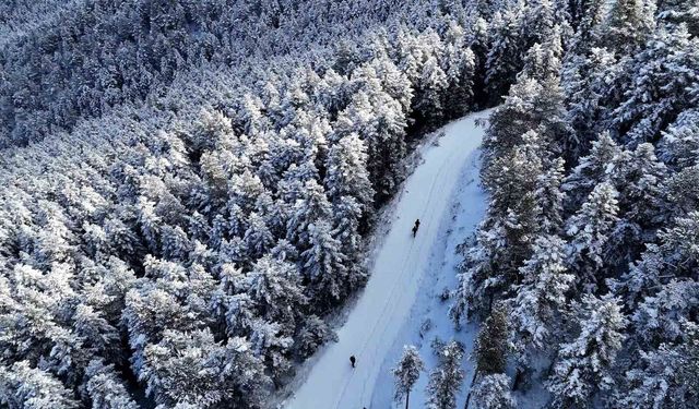Gümüşhane'de kış masalı