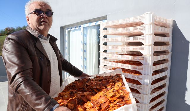 Köyde kurulan tesisle kurutulan Trabzon hurmaları Almanya'ya ihraç edildi