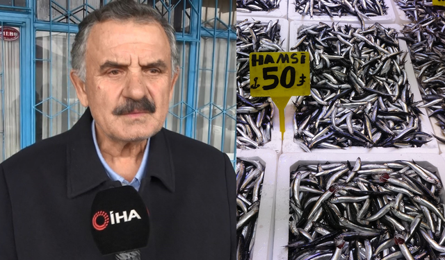 Recep Denizer: 'Hamsi Türk karasularını terk etti'