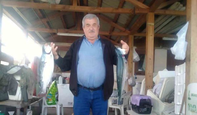 Görele'de şüpheli ölüm