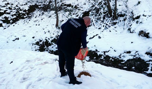 Soğuk kış günlerinde sokak hayvanları unutulmadı
