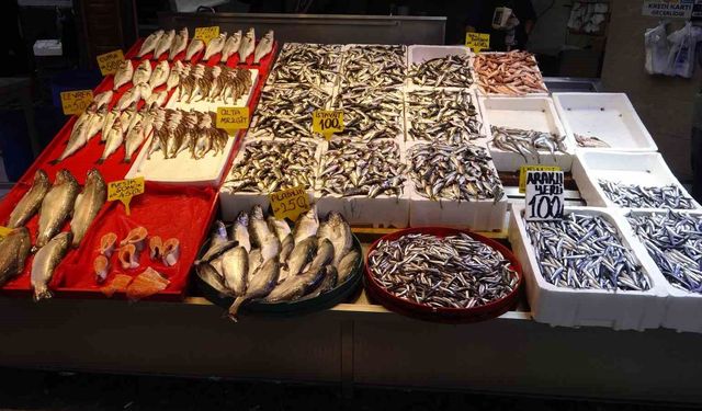 Denizdeki fırtına avını etkilese de balık fiyatlarını etkilemedi