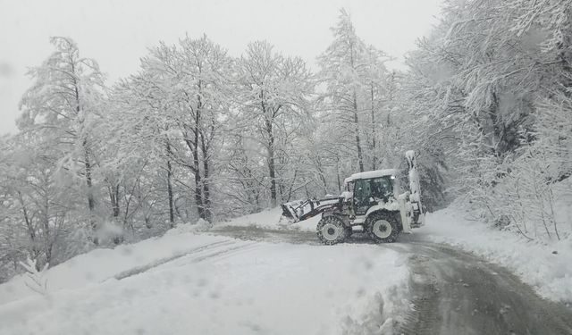 Trabzon'da 19 mahalle yolu kar nedeniyle ulaşıma kapandı