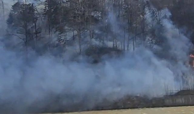 Çaykara ve Köprübaşı ilçelerinde yangınlar korkuttu