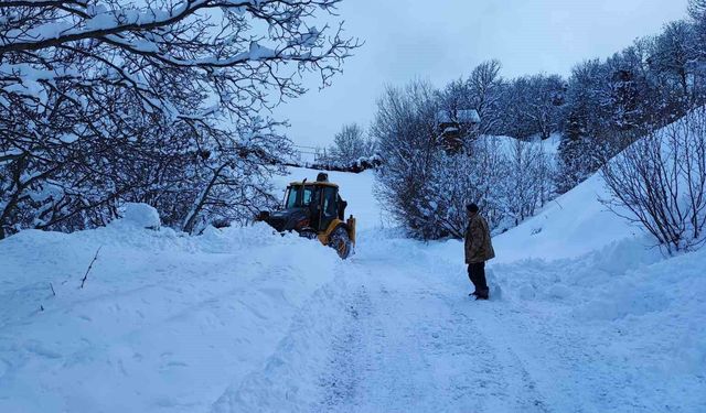 Artvin'de 80 köy yolu ulaşıma kapandı