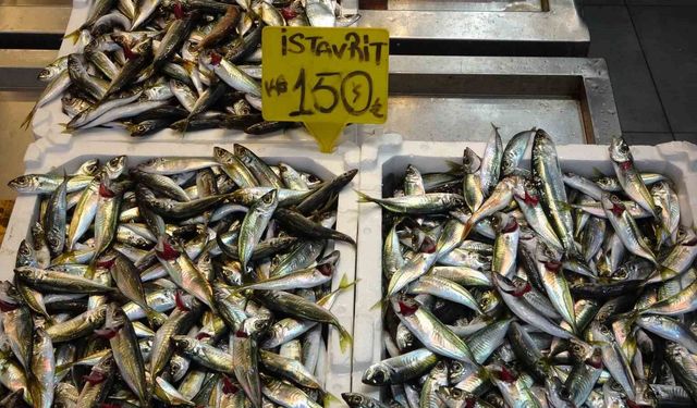 Bayram öncesi balık tezgahlarında bolluk