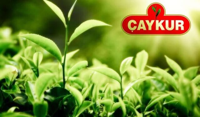 Cumhurbaşkanı Kararı Resmi Gazete’de: ÇAYKUR’a Sözleşmeli Personel Düzenlemesi