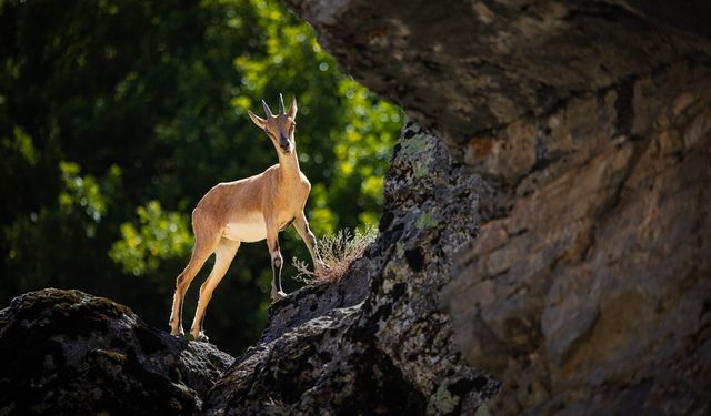Türkiye Güzellikleri Fotoğraf Ödülleri açıklandı