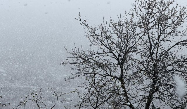 Zigana Dağı'nın yüksek kesimlerinde Nisan ayının ortasında lapa lapa kar süprizi