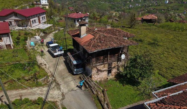 Kahverengi kokarcaya karşı kışlaklardan çıkış öncesi ilaçlama hız kazandı