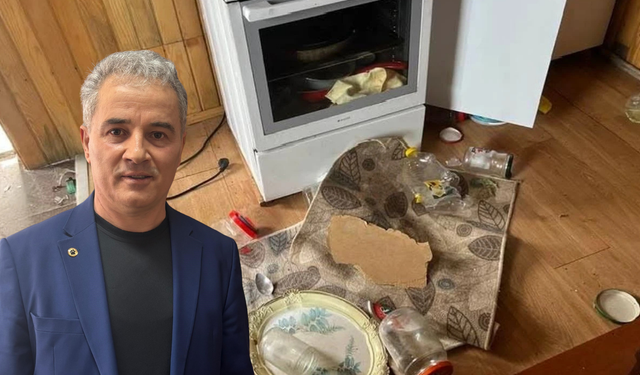 Kış uykusu bitti, ayı istilası başladı