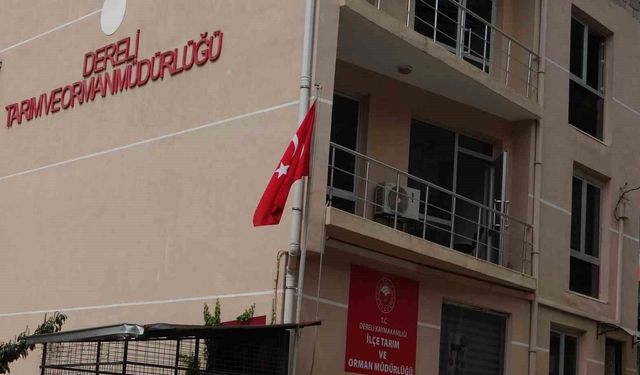 Kamu zararı iddialarıyla ilgili soruşturma başlatıldı
