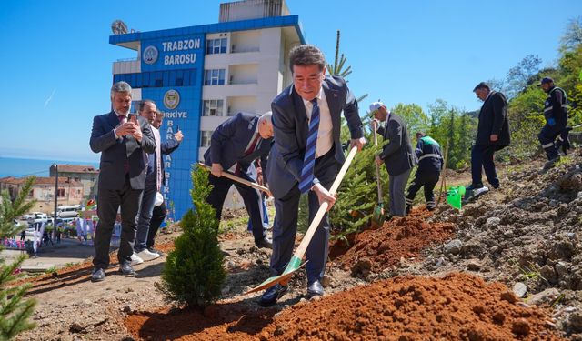 Başkan Kaya,Doğa ve Hukuk Ormanı için fidan dikti