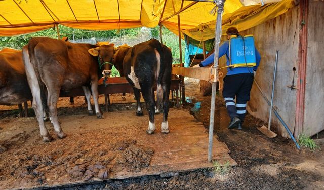Büyükşehir'den kurban alanlarında hijyen seferberliği