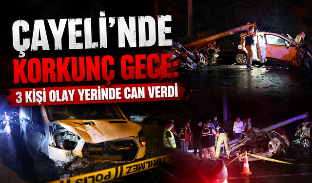 Sahil yolunda facia: 3 can gitti