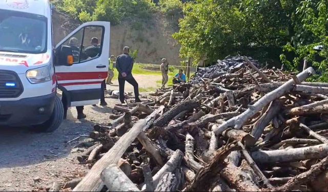 Trabzon-Gümüşhane hattında kan donduran cinayet: Eşini odunla öldürüp kaçtı