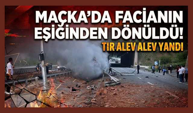 Bariyerlere çarpan tır Alev topuna döndü!