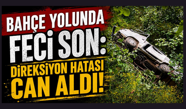 Kamyonet dereye uçtu,sürücü kurtarılamadı