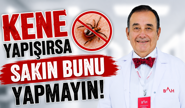 Kene alarmı! Uzmandan hayat kurtaran uyarılar