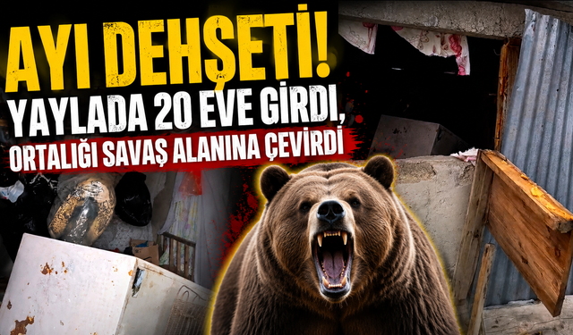 Yaylada şaşkına çeviren görüntüler: Ayı ev ev dolaştı