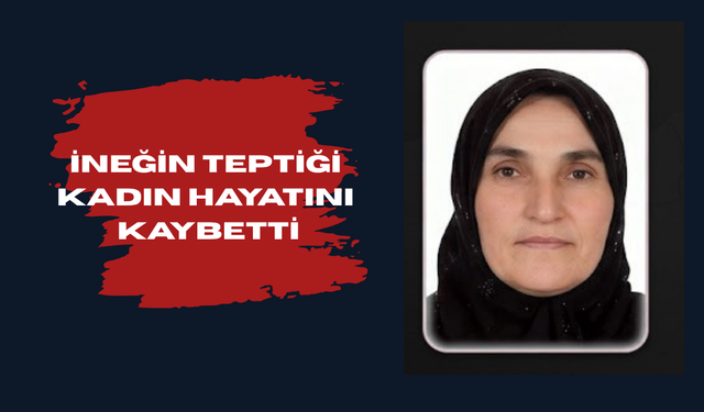 İneğin teptiği kadın hayatını kaybetti